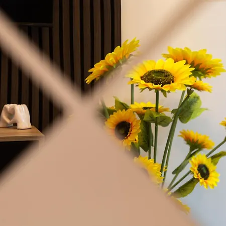 Luxury Apartment! * Bradford (West Yorkshire)
