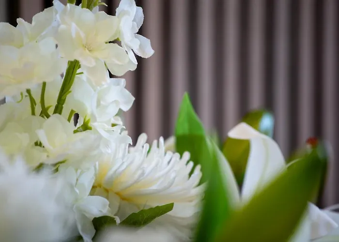 Luxury Apartment! Bradford (West Yorkshire)